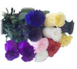 Rose Bud Feather Ticklers