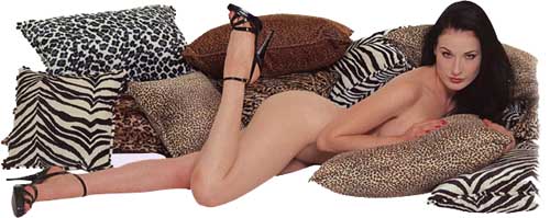 Your vibe may run, but it can not hide...without a Hide Your Vide Pillow!