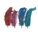 Ostrich Feather Tickler