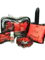 Erotic Foreplay Kit