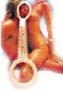 Clitto-Brush Cock Ring and Stimulator