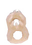 Technoskin Figure 8
