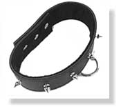 SportSheets Spiked Leather Collar