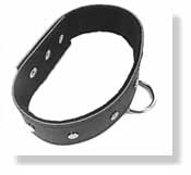 SportSheets Studded Leather Collar
