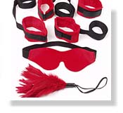 SportSheets Sex Slave Kit