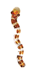 Adam and Eve Eden CyberGlass Snake of Paradise - A8410-6