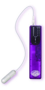 iEGG with Controller, Grape ~ DJ6002-02