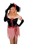 Intimate Attitudes Plus Size Halloween Costumes