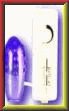 All About Vibrators Eggs Buttlets and Dutone Balls