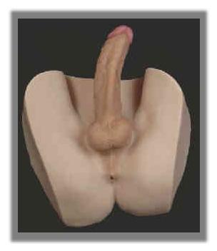 Ultra Realistic Firm Cock and Anus
