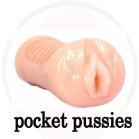 Pocket Pussies